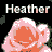 Icon plaatjes Naam icons Heather 