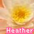 Icon plaatjes Naam icons Heather 