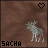 Icon plaatjes Naam icons Sacha 