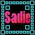 Icon plaatjes Naam icons Sadie 