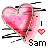 Icon plaatjes Naam icons Sam 