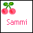 Icon plaatjes Naam icons Sammi 