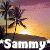 Icon plaatjes Naam icons Sammy 