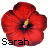 Icon plaatjes Naam icons Sarah 