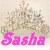 Icon plaatjes Naam icons Sasha 