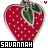 Icon plaatjes Naam icons Savannah 