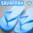 Icon plaatjes Naam icons Savannah 