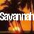 Icon plaatjes Naam icons Savannah 