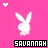 Icon plaatjes Naam icons Savannah 