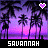 Icon plaatjes Naam icons Savannah 