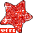 Icon plaatjes Naam icons Selina 