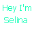 Icon plaatjes Naam icons Selina 