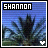 Icon plaatjes Naam icons Shannon 
