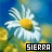 Icon plaatjes Naam icons Sierra 