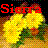 Icon plaatjes Naam icons Sierra 