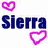 Icon plaatjes Naam icons Sierra 