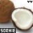 Icon plaatjes Naam icons Sophie 