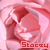 Icon plaatjes Naam icons Stacey 