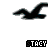 Icon plaatjes Naam icons Stacy 