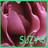 Icon plaatjes Naam icons Suzy 