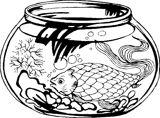 Kleurplaten Aquarium 