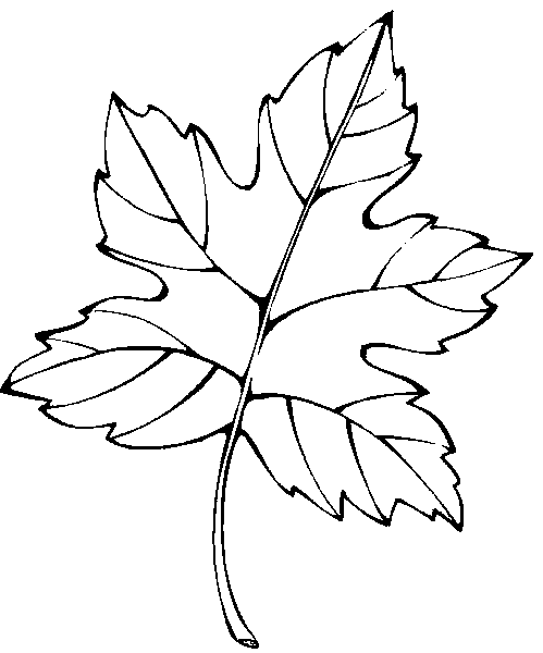 Bladeren Kleurplaten 