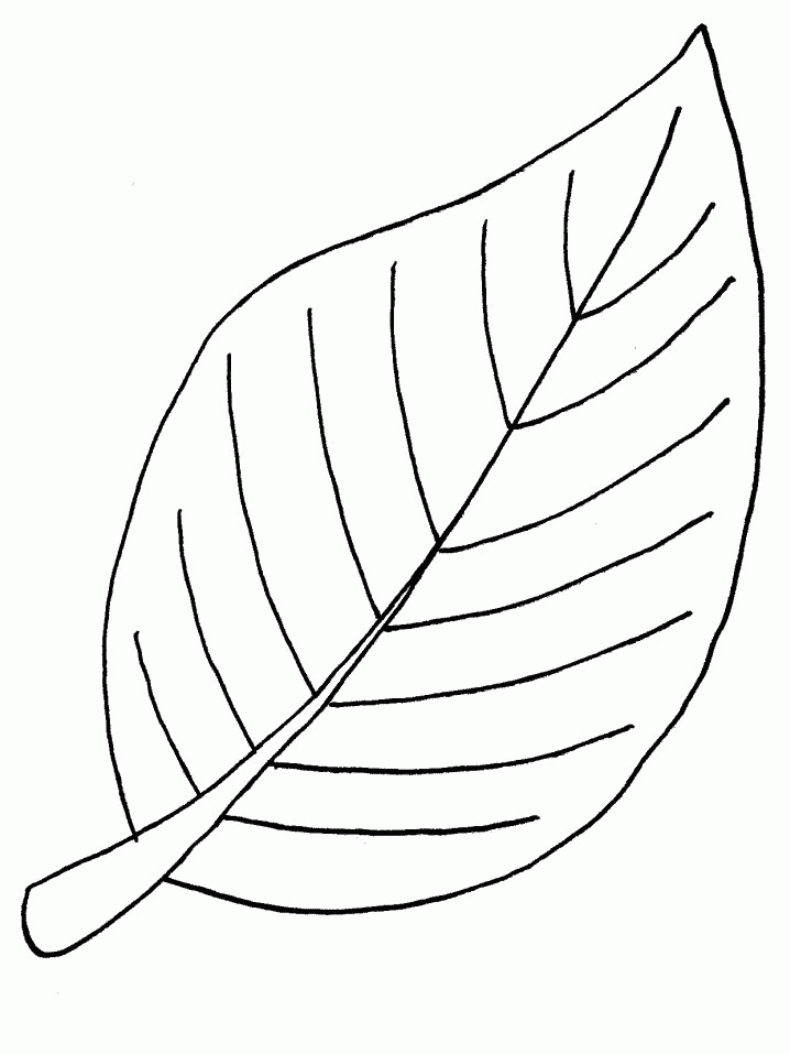 Bladeren Kleurplaten 