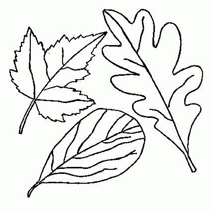 Bladeren Kleurplaten 
