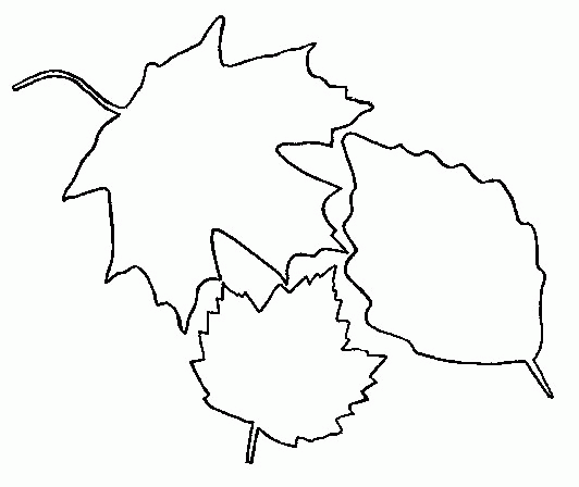 Bladeren Kleurplaten 