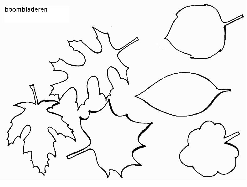Bladeren Kleurplaten 