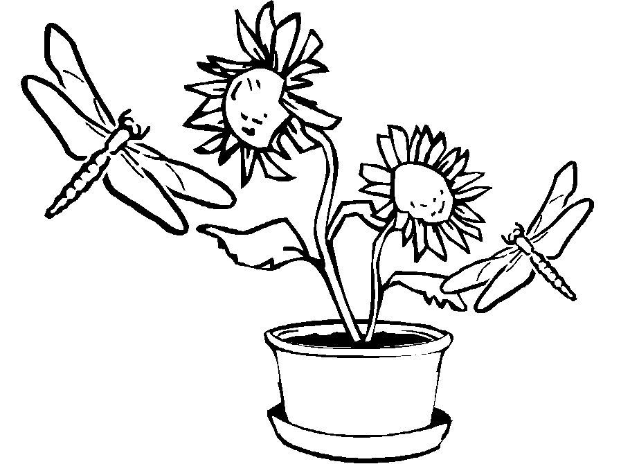 Bloemen Kleurplaten 