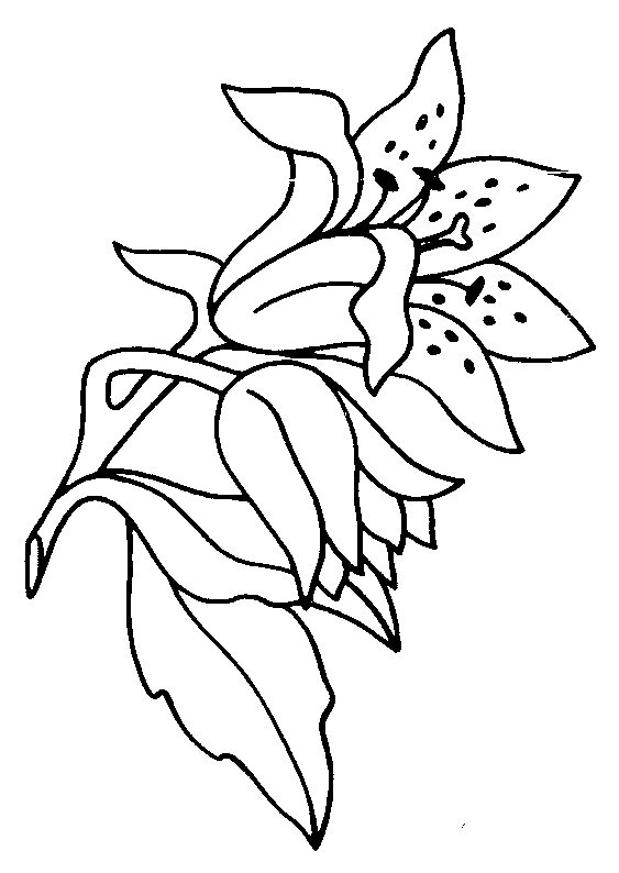 Bloemen Kleurplaten 