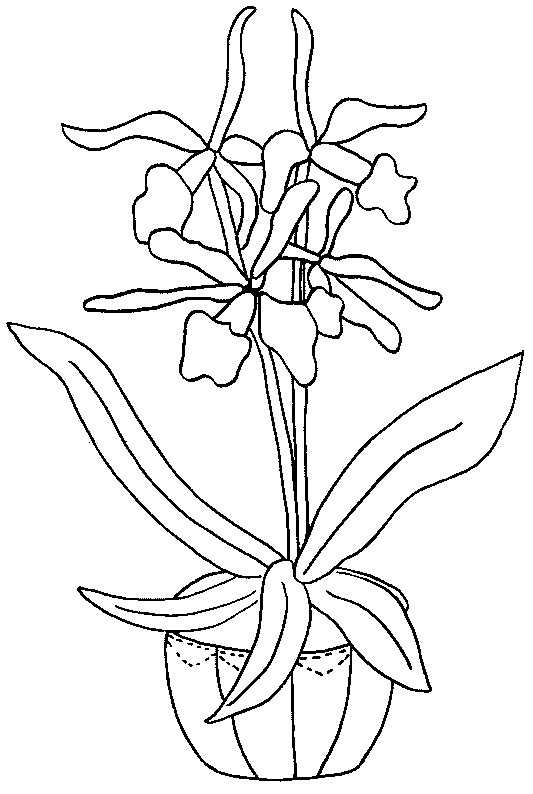 Bloemen Kleurplaten 