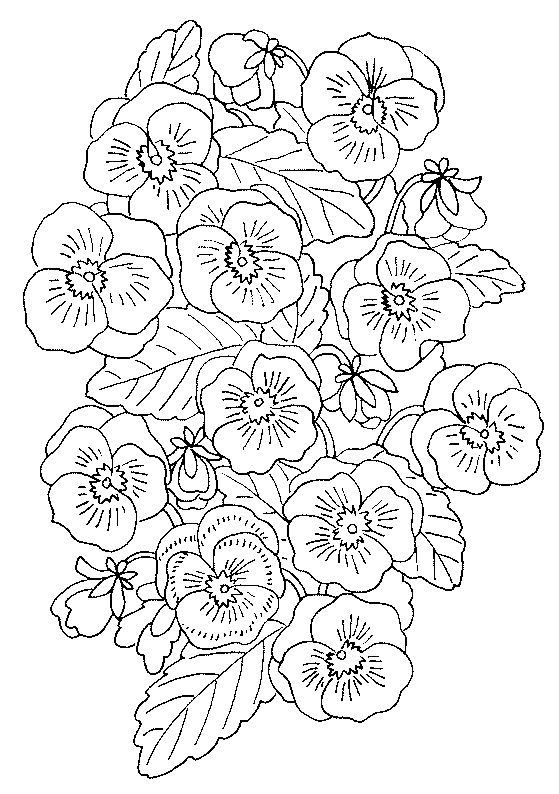 Bloemen Kleurplaten 