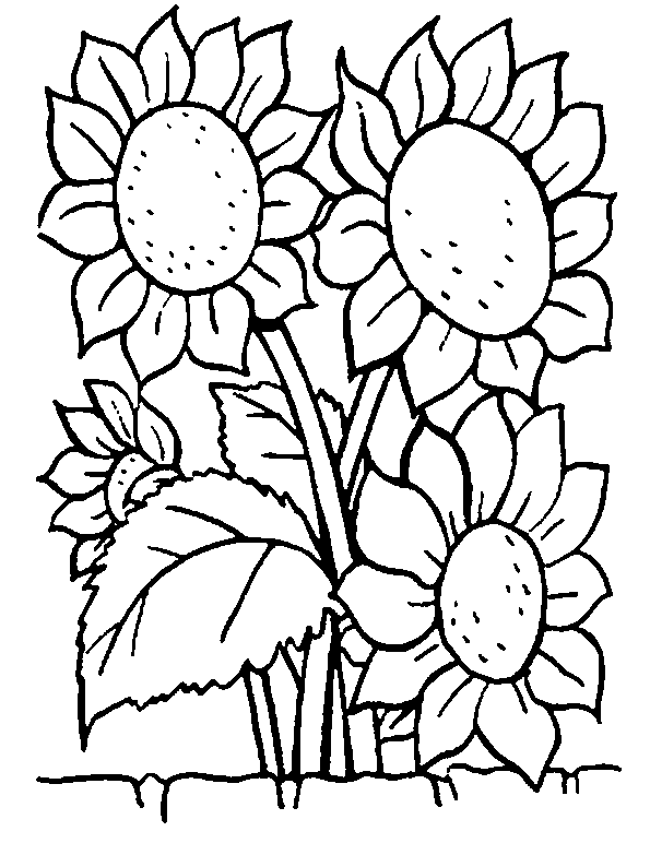 Bloemen Kleurplaten 