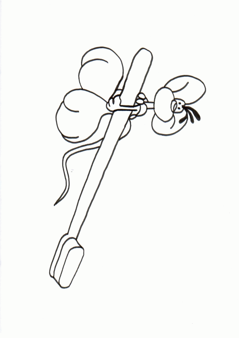 Diddl Kleurplaten 