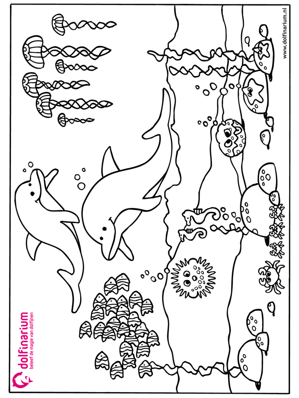 Kleurplaten Dolfinarium 