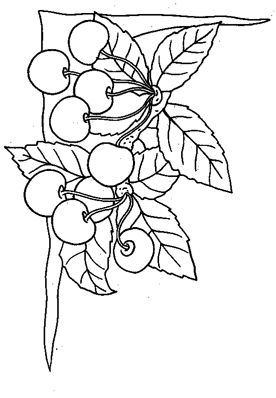 Kleurplaten Groente en fruit 