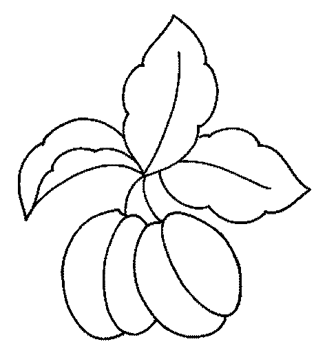 Kleurplaten Groente en fruit 