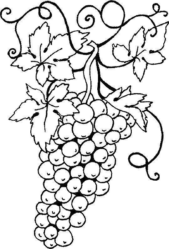 Kleurplaten Groente en fruit 