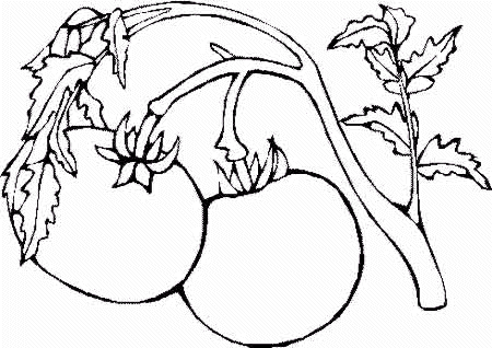 Kleurplaten Groente en fruit 
