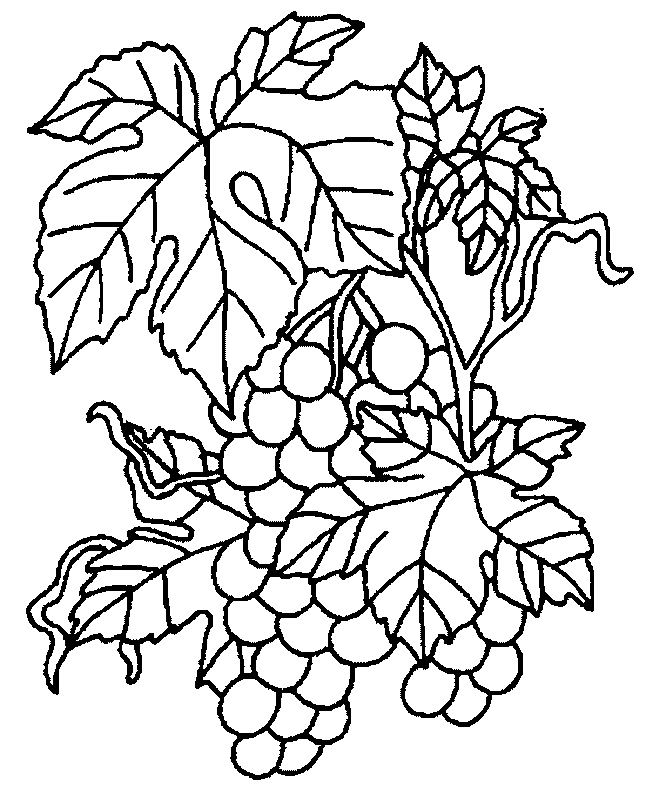 Kleurplaten Groente en fruit 