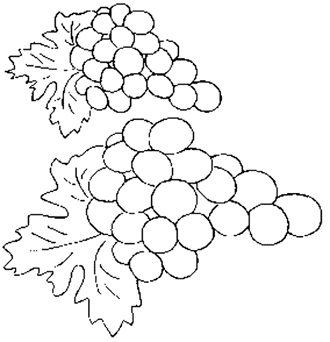 Kleurplaten Groente en fruit 