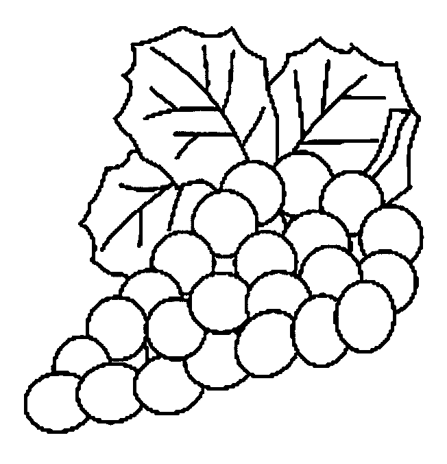 Kleurplaten Groente en fruit 