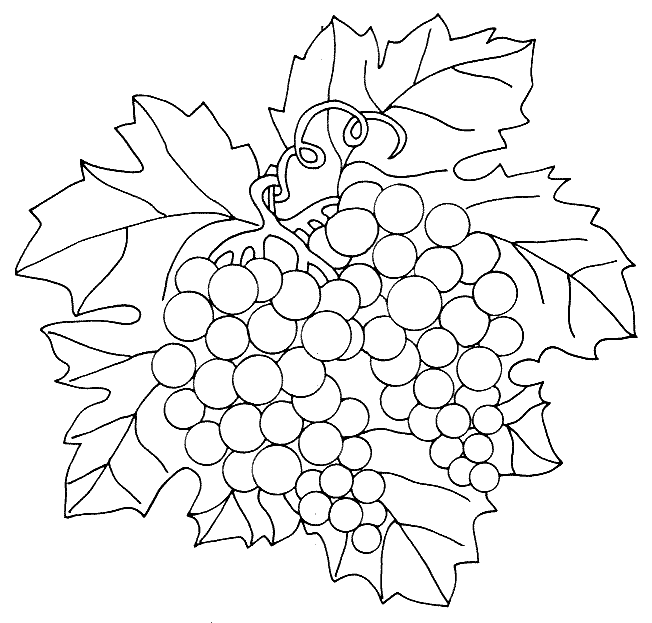 Kleurplaten Groente en fruit 