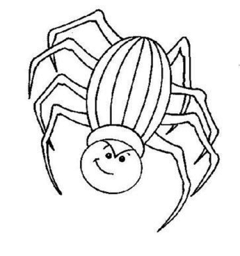 Insecten Kleurplaten 