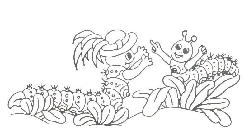 Insecten Kleurplaten 