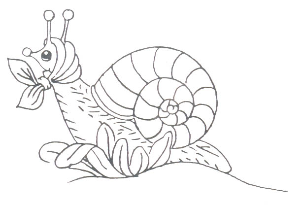 Insecten Kleurplaten 