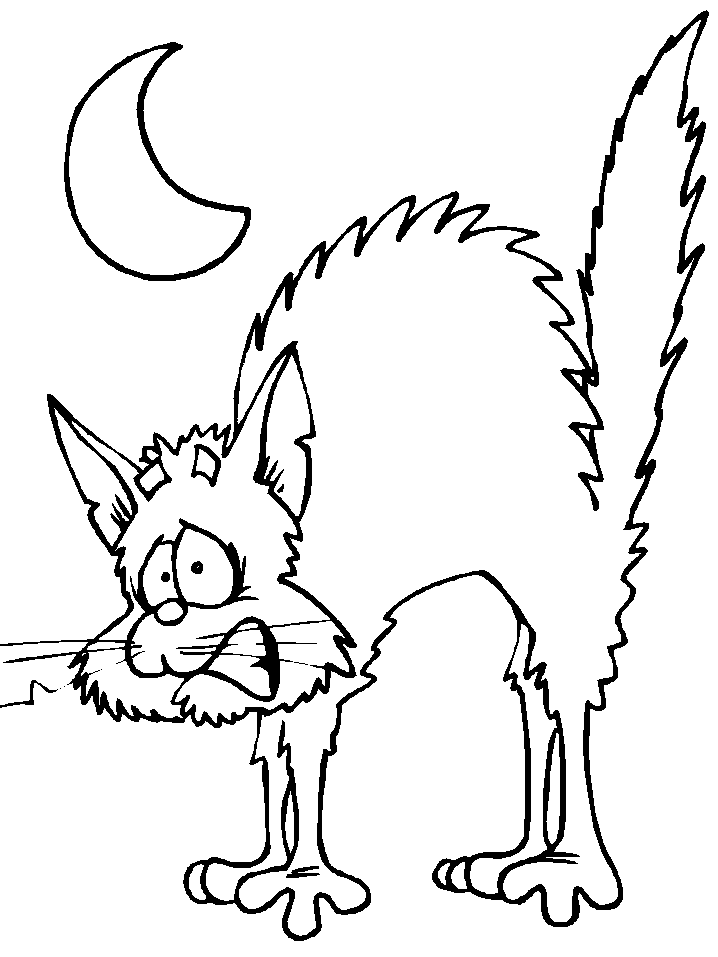 Katten Kleurplaten 
