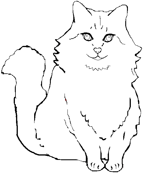 Katten Kleurplaten 